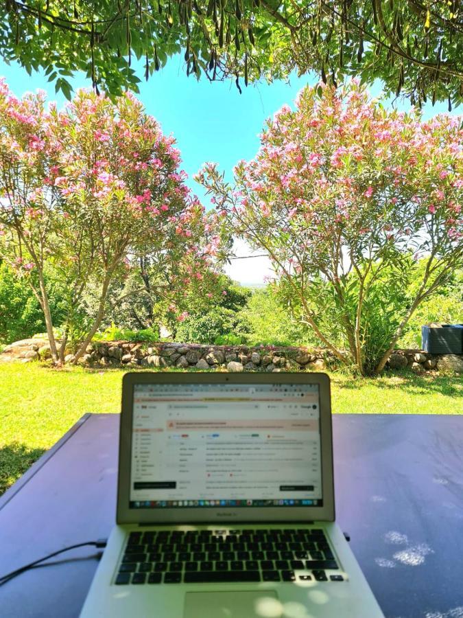 Casa Rural en Candeleda con piscina y un maravilloso jardín Exterior foto