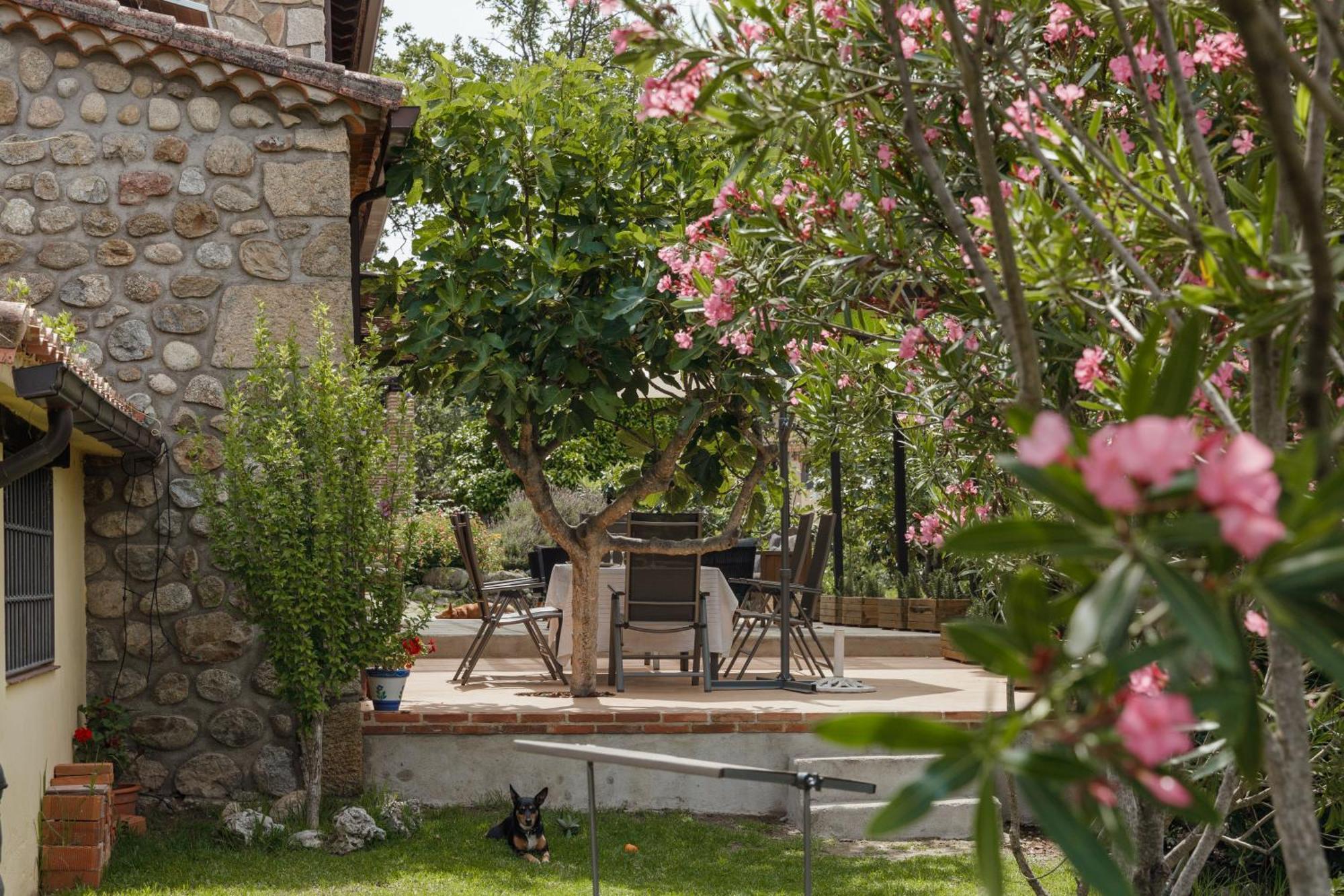 Casa Rural en Candeleda con piscina y un maravilloso jardín Exterior foto